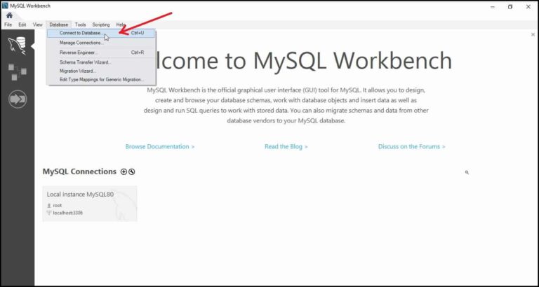 MySQL Workbench Installation | A Step-by-Step Guide